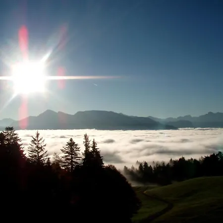Gasthof Alpengasthof Brueggele