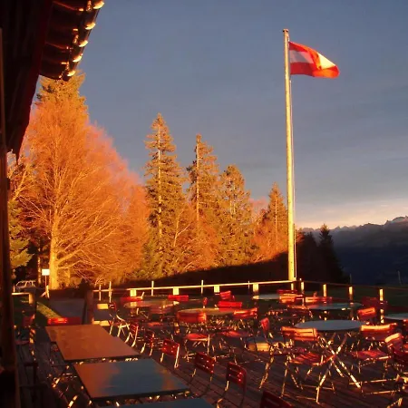 Alpengasthof Brueggele Gasthof Alberschwende