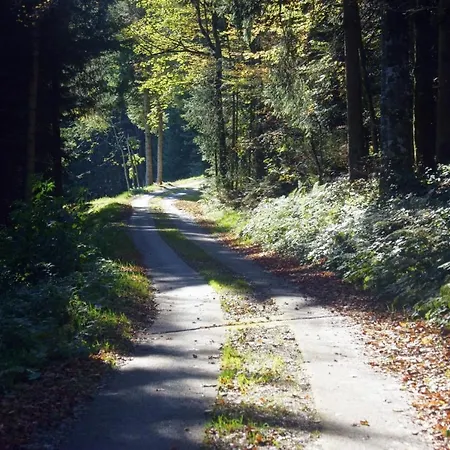 Alpengasthof Brueggele Gasthof Alberschwende
