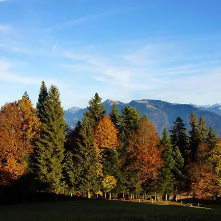 Alpengasthof Brueggele 2* البيرشوينده