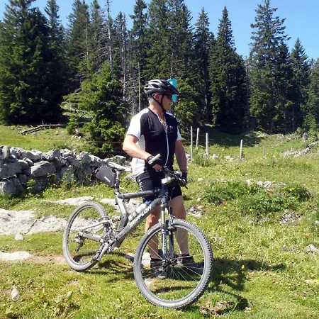 Estalagem Alpengasthof Brueggele 2*